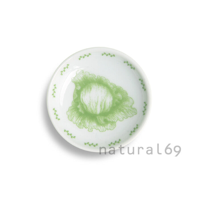 natural69 蔬菜彩繪姬皿 波佐見燒日本製小皿