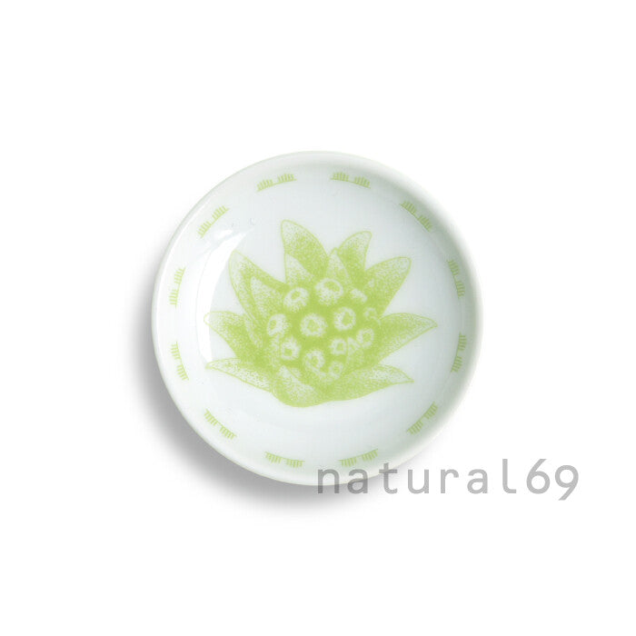 natural69 蔬菜彩繪姬皿 波佐見燒日本製小皿