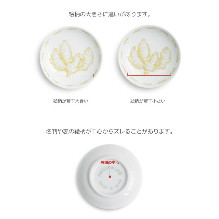 natural69 蔬菜彩繪姬皿 波佐見燒日本製小皿