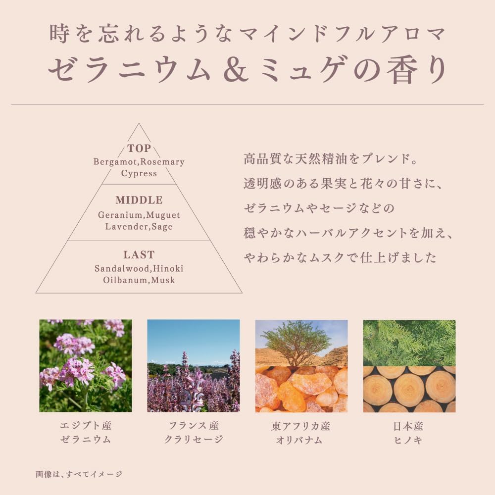日本Melt Moist Conditioning Water 頭髮專用化妝水 170ML｜快乾抗熱＋毛躁救星 Japan E-Shop