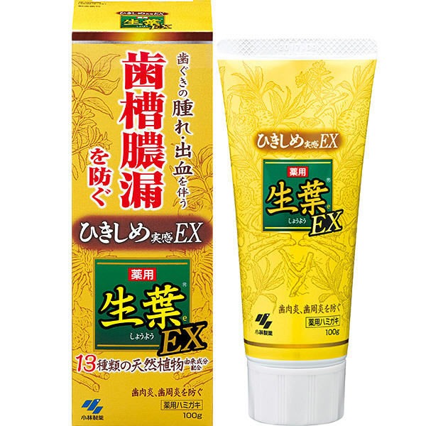 小林製藥13種天然植物 生葉EX齒槽膿漏預防藥用牙膏100g Japan E-Shop