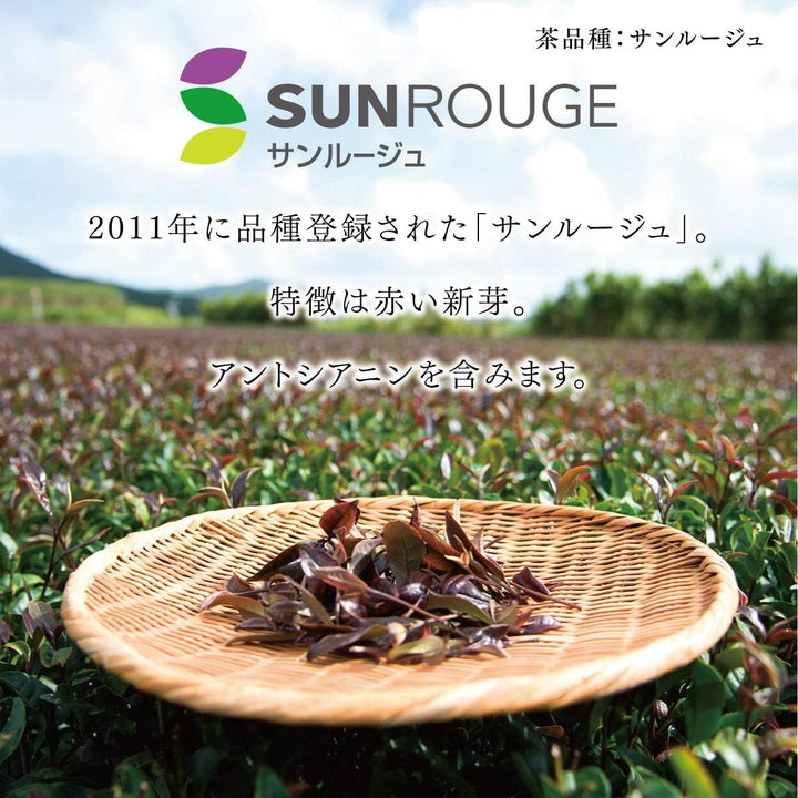 日本鹿兒島世界自然遺產 長壽茶 日茜茶 20包/盒｜三高剋星 健康必備 Japan E-Shop