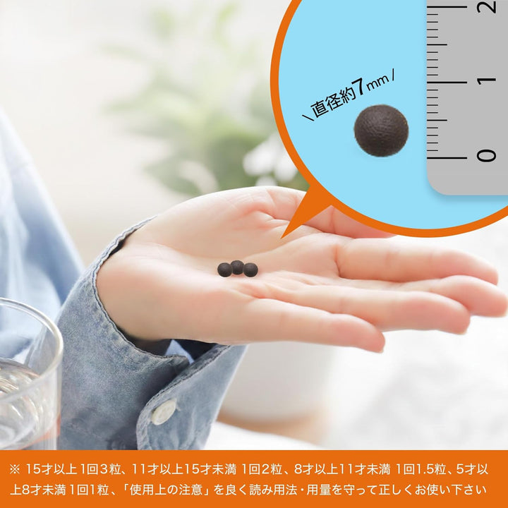 喇叭牌正露丸肠胃药(百年经典) - 天然木榴油配方| 腹胀腹泻消化不良拉肚子恶心呕吐水土不服