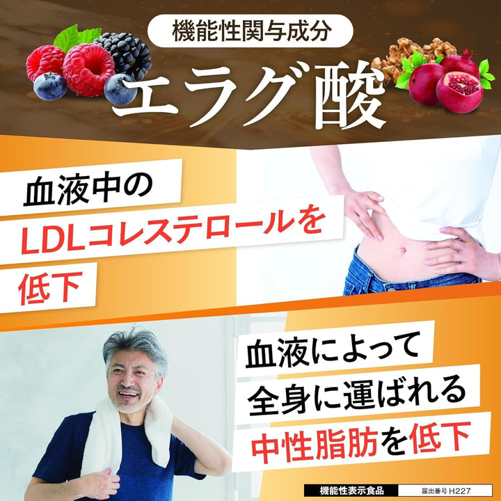大正製藥 專為關注膽固醇與中性脂肪研發精華錠 DX (60粒/30日份)