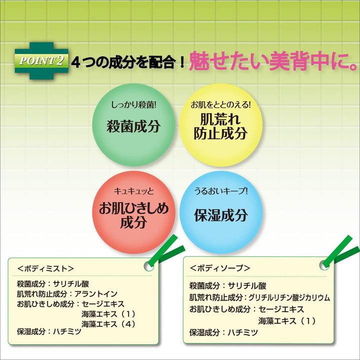 SANA Esteny 莎娜 抗痘專用美背噴霧 AC 藥用/300ml Japan E-Shop