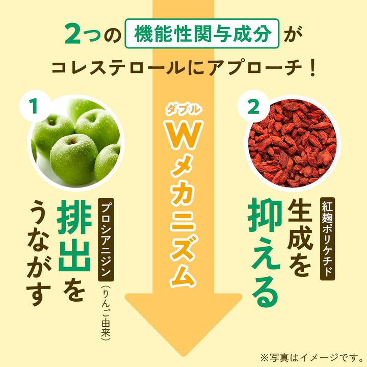 FANCL 健脂支援減醇膠囊 降惡性膽固醇/雙效植萃精華 60粒 (30日份)