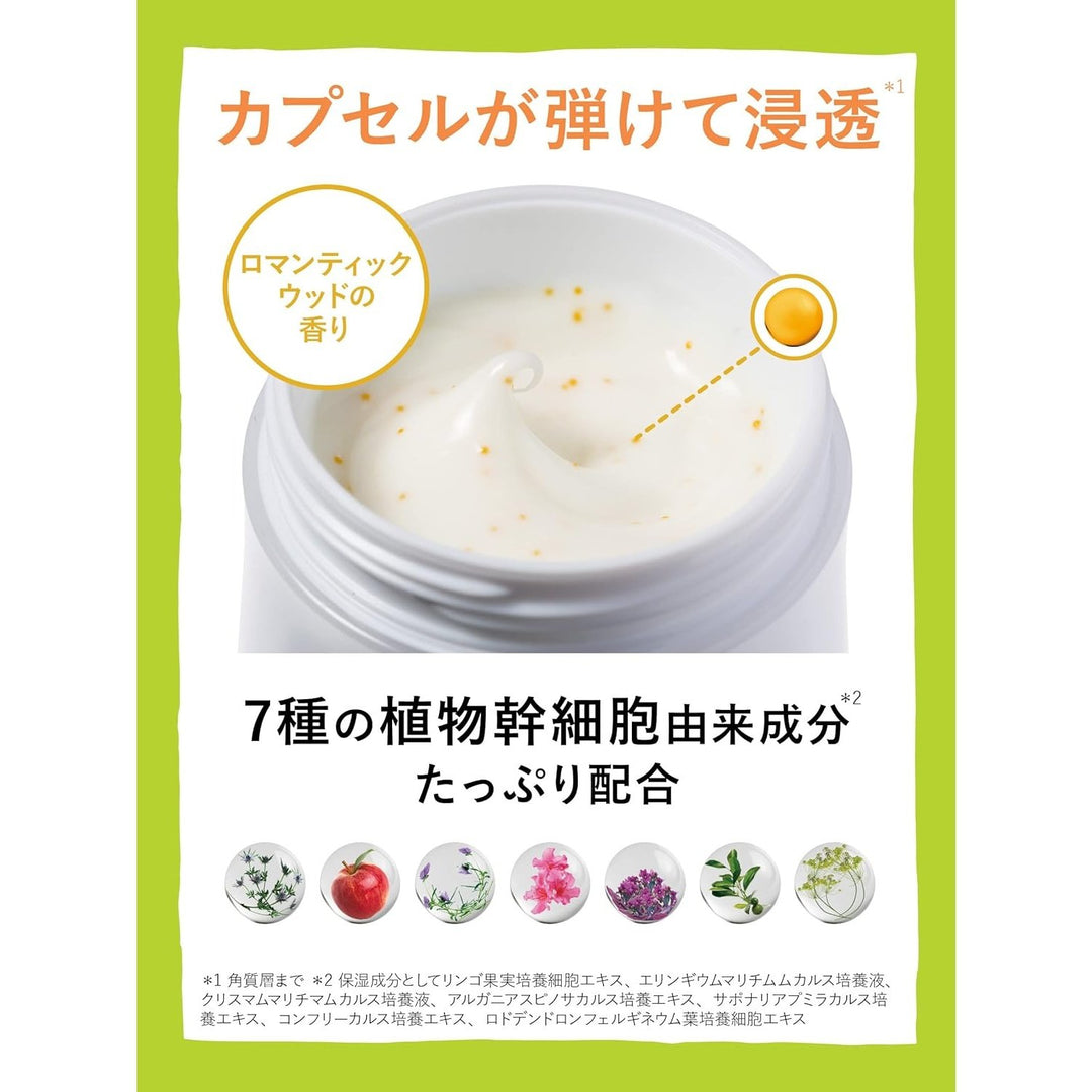 日本LITS植物幹細胞逆齡7合1面霜50g Japan E-Shop