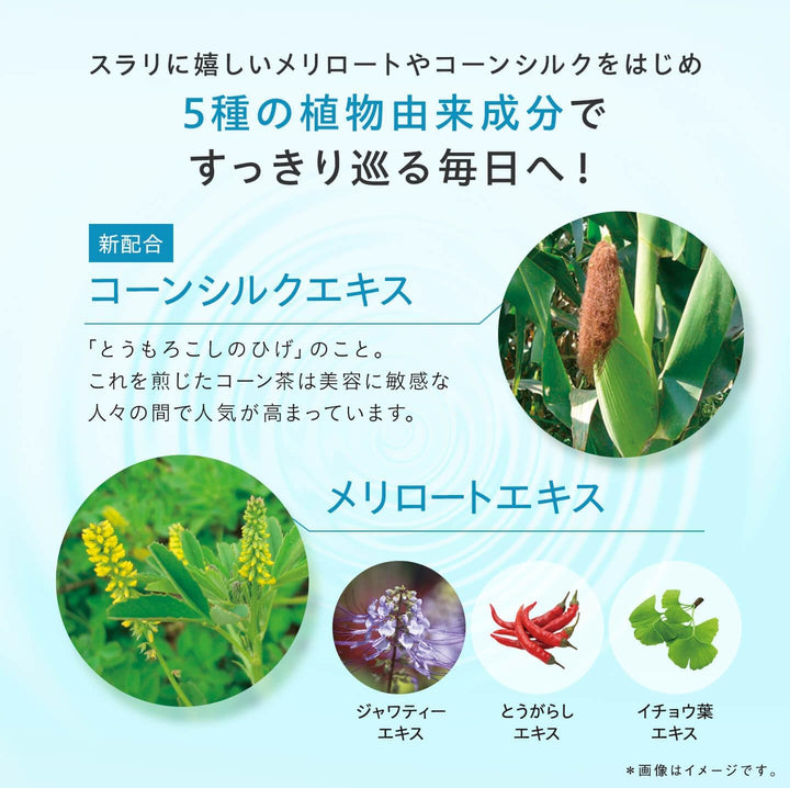 DHC下半身减肥片30日分消除大象腿纤腰美腿完美实现30日60粒