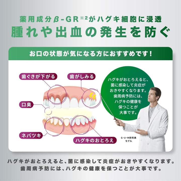 Periodontal Procare 牙周病預防藥用牙膏 90g 藥用薄荷味 日本製 Japan E-Shop