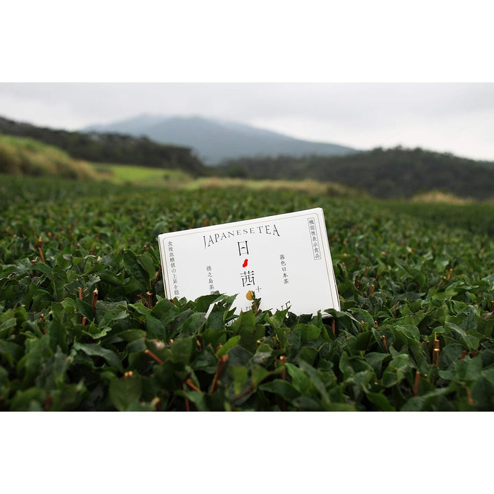 日本鹿兒島世界自然遺產 長壽茶 日茜茶 20包/盒｜三高剋星 健康必備 Japan E-Shop