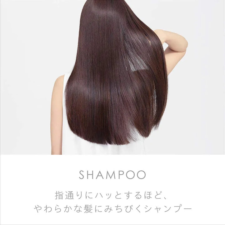  花王andand無硅油 無著色劑 洗髮水 480ml天然香料 兩款選擇 Kao 花王 japan e-shop